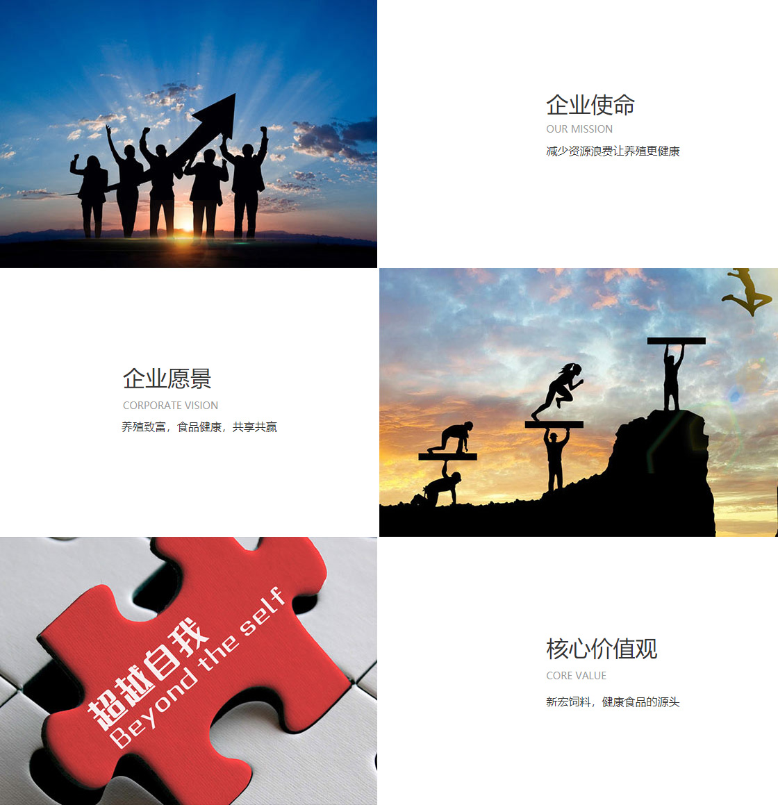 乐鱼在线(图1)